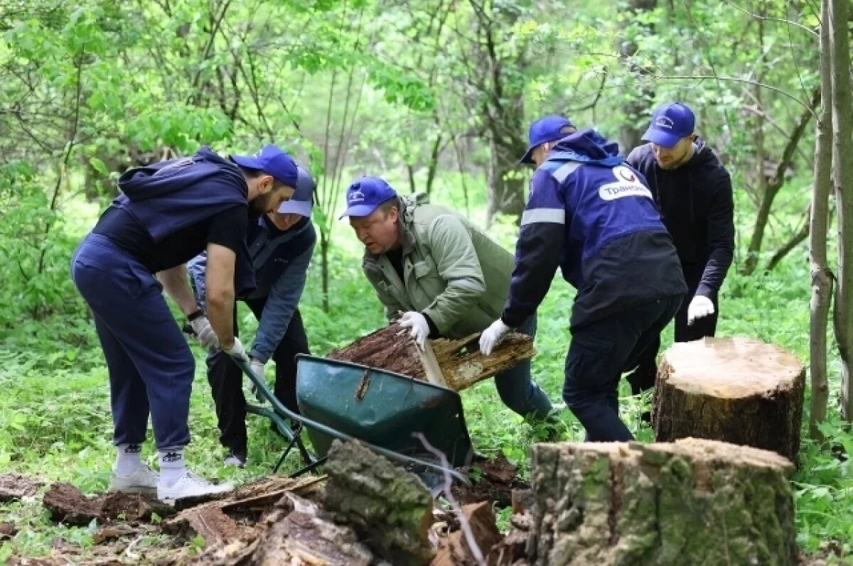    Нефтетранспортная компания стала финалистом Международной премии #МыВместе