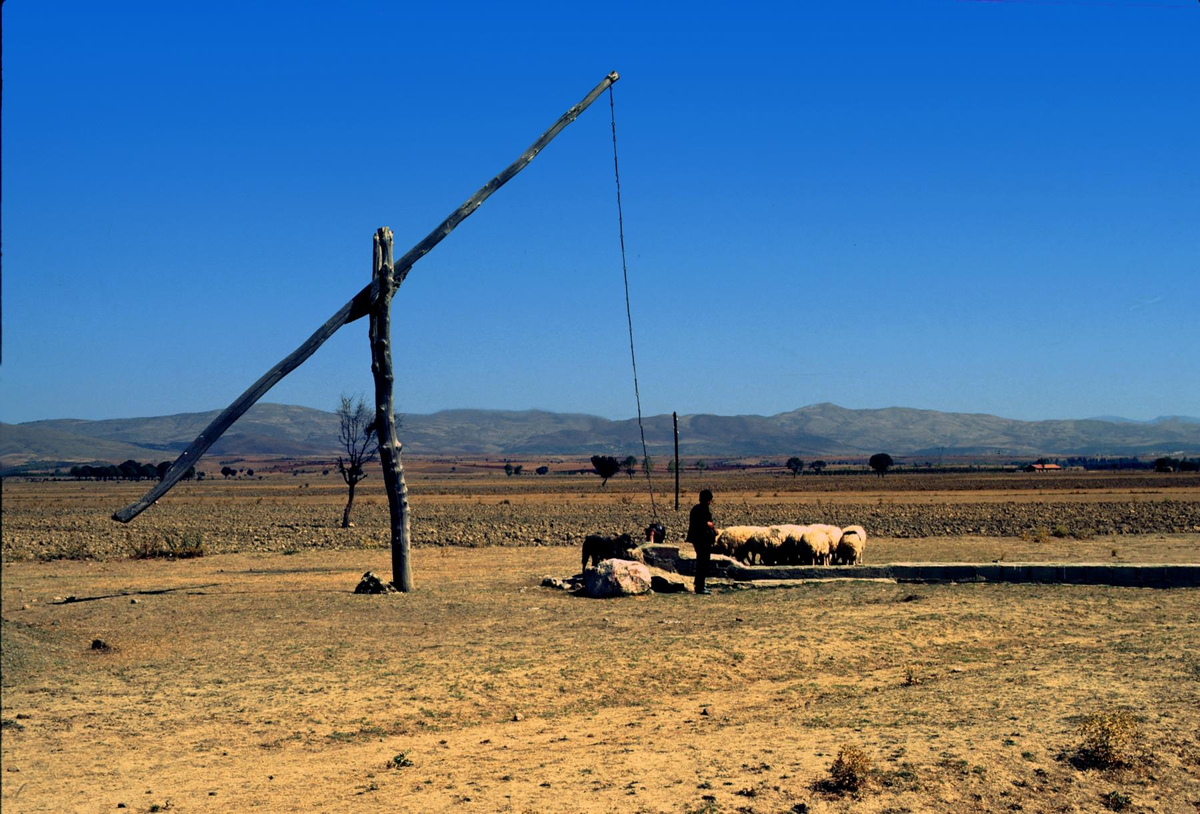 Что такое шадуф?