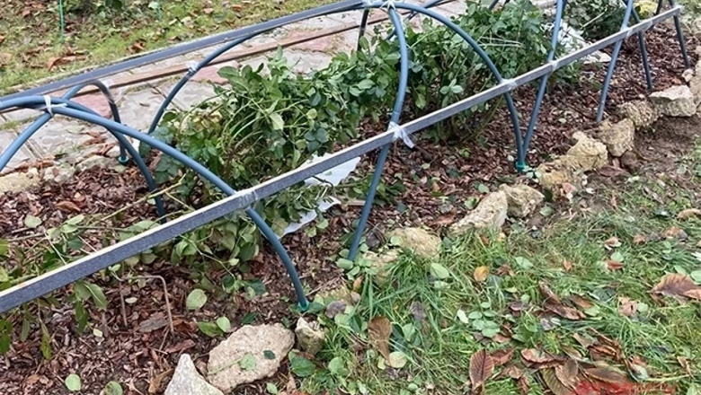 Источник: Аргументы и факты