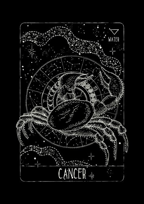 Картинка для Раков