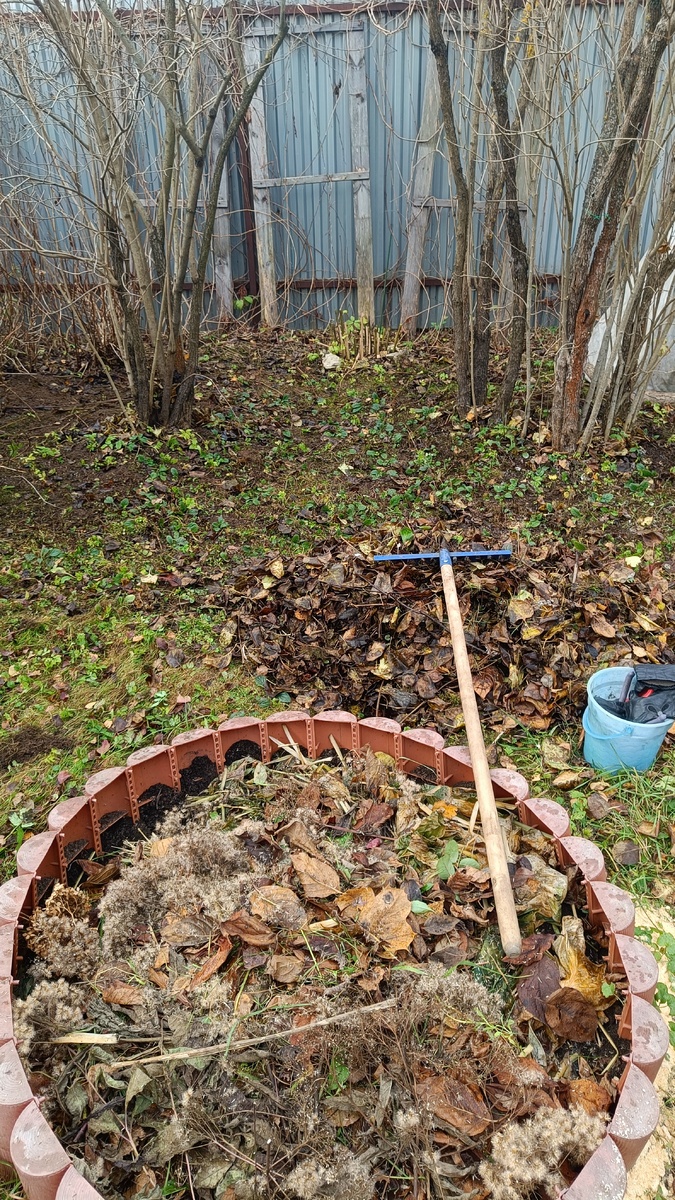 Собрала листья под сиренями