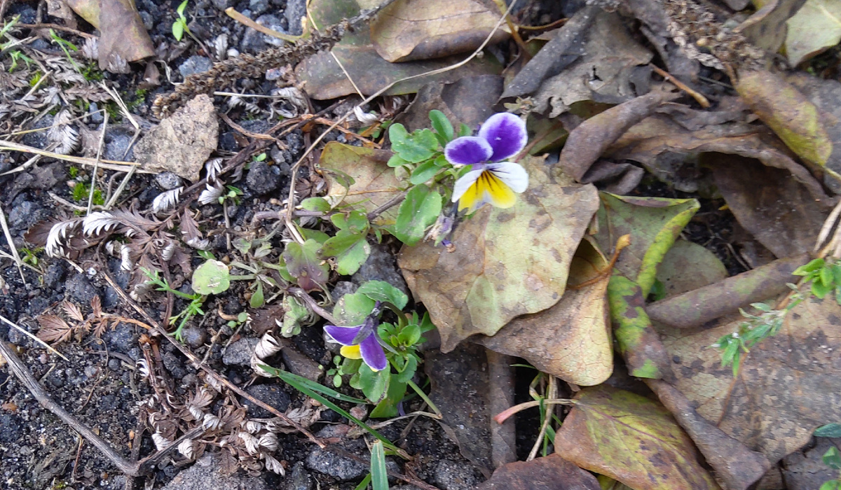 Фото автора.