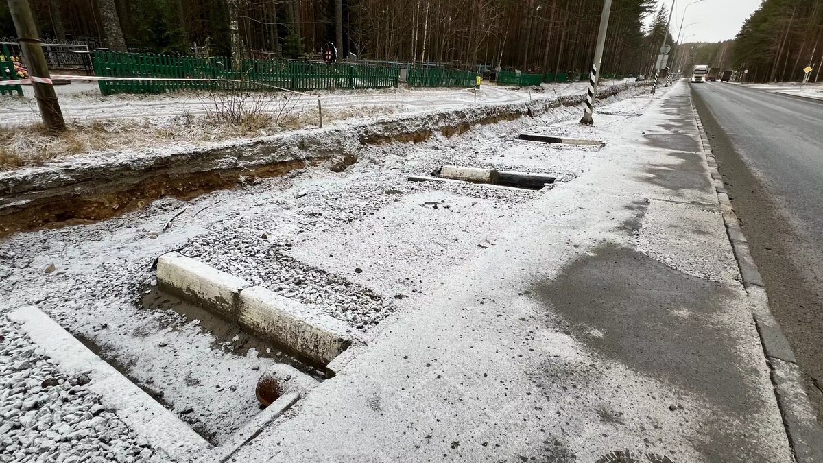     Источник: Людмила Журавлева / vk