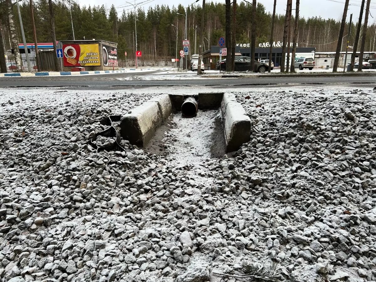     Источник: Людмила Журавлева / vk