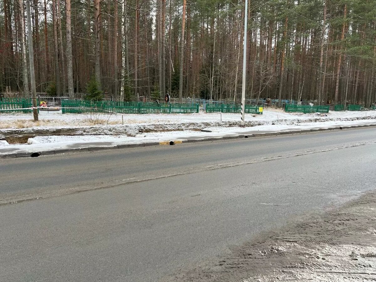     Источник: Людмила Журавлева / vk