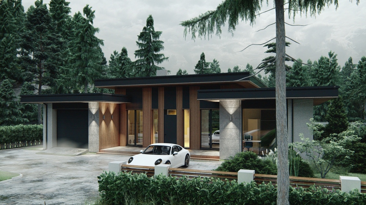 Перспектива Вид 1