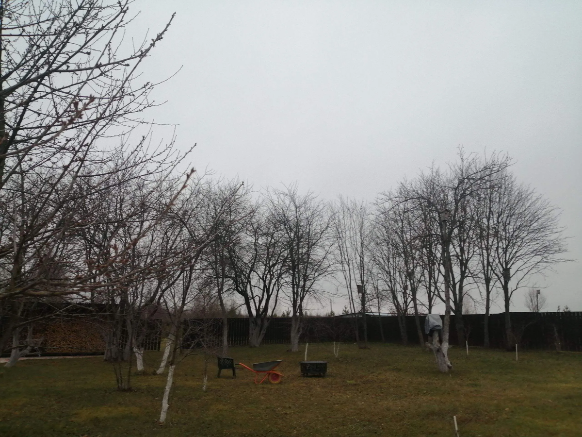 Фото автора 13.11.24