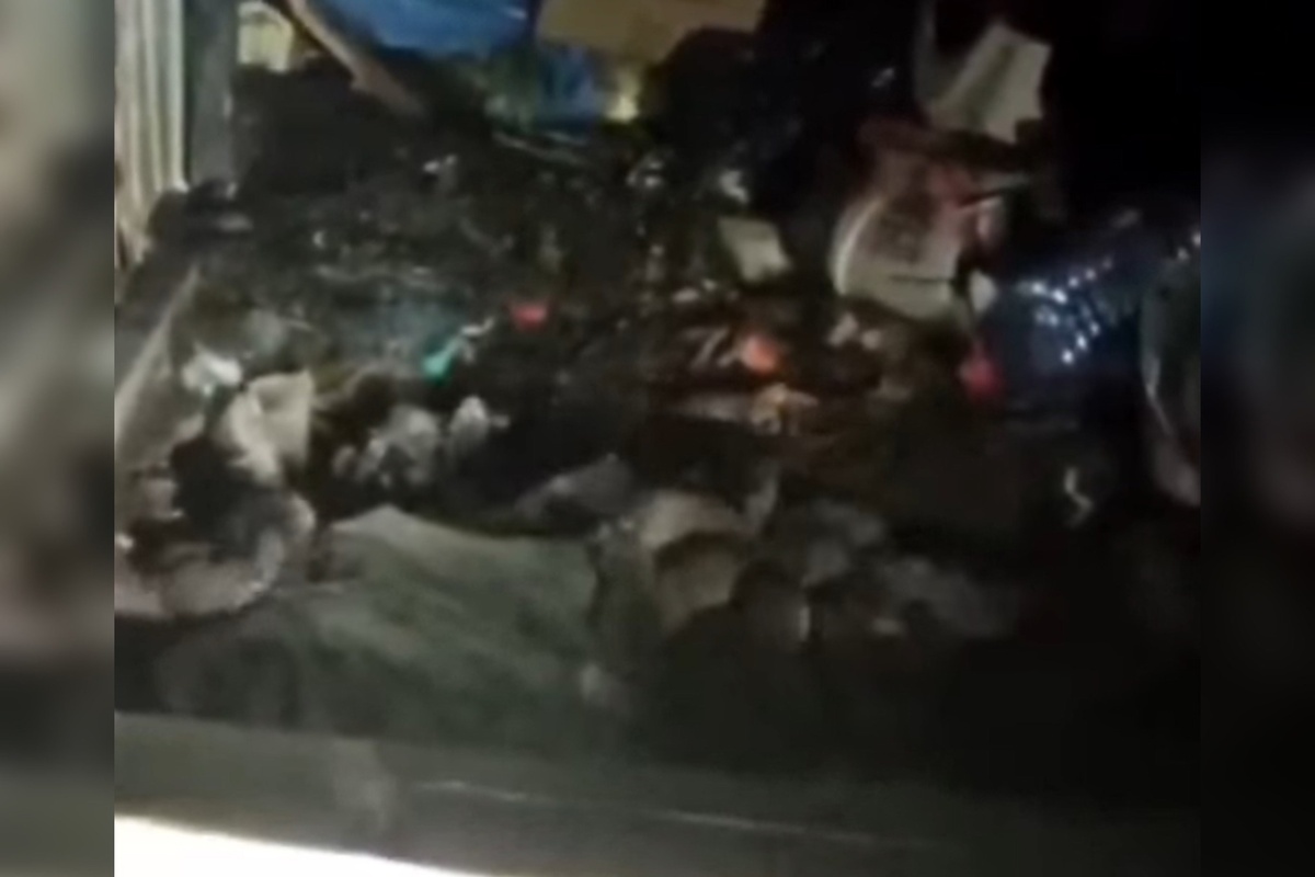    На мусорных площадках Оренбурга нашествие крыс