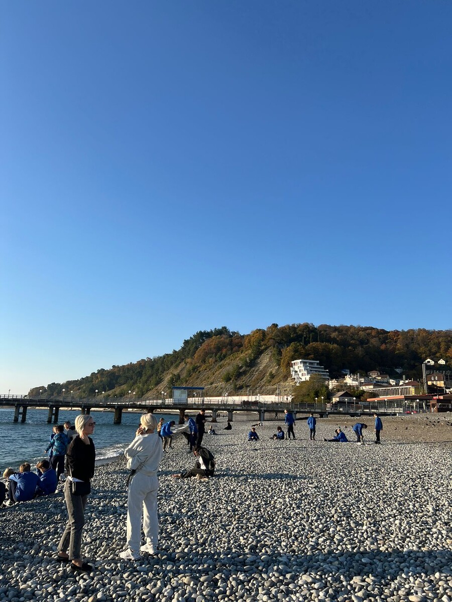 Сегодня в Сочи. 