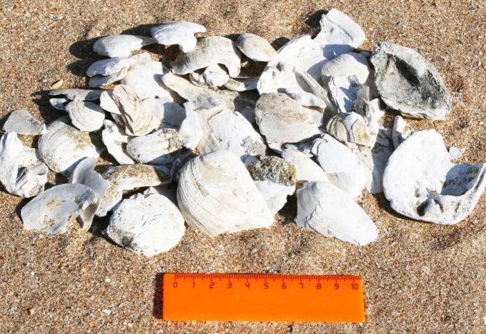    администрация Краснодарского края