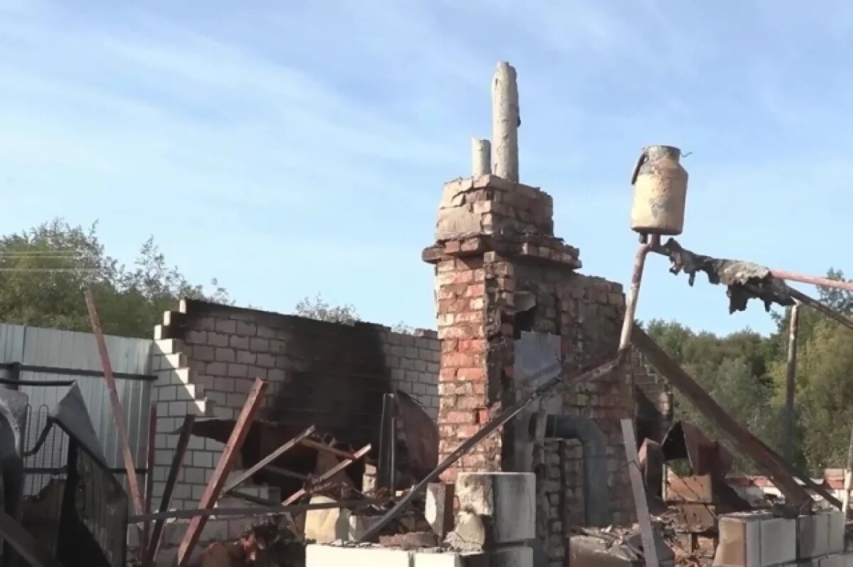    В Курской области появились группы по борьбе с мародерством и воровством