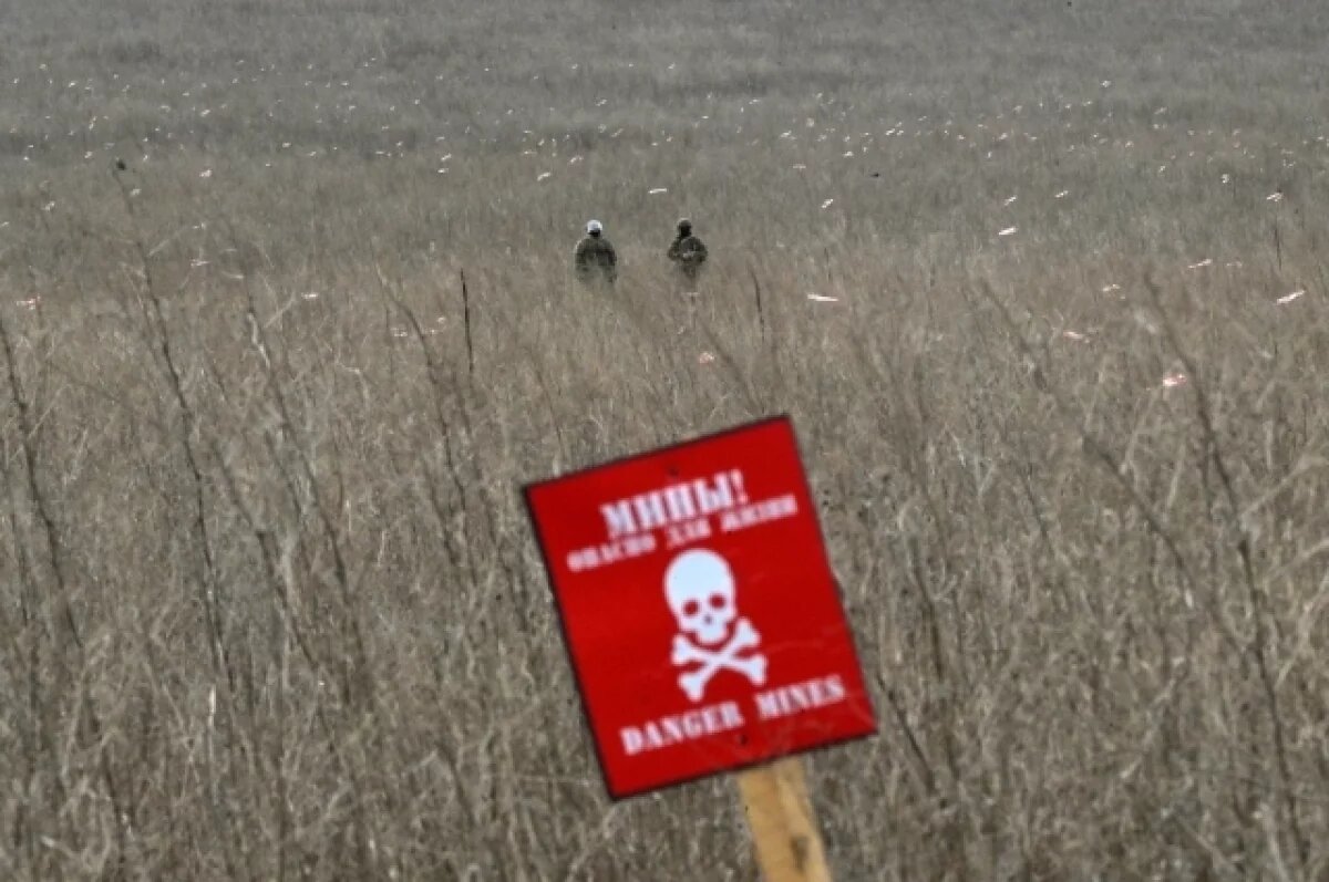    Марочко: минируя территории, ВСУ подставляют под удар мирное население