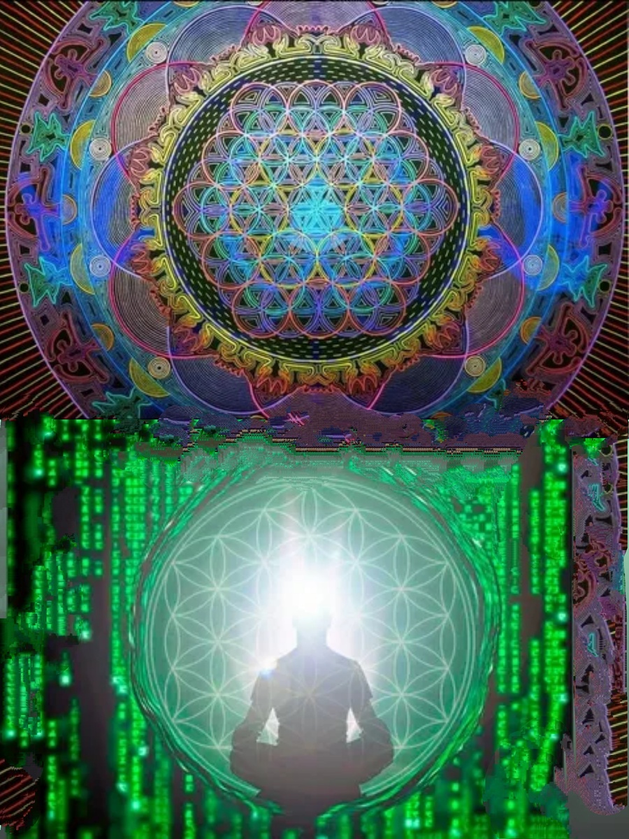 Фотоколлаж автора статьи 