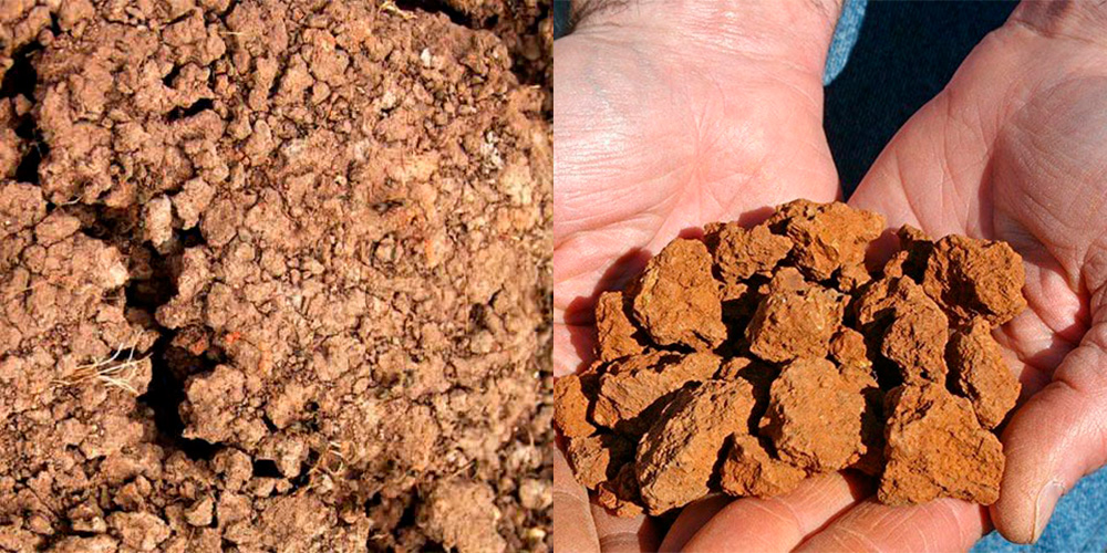 Источник: mostopora.ru