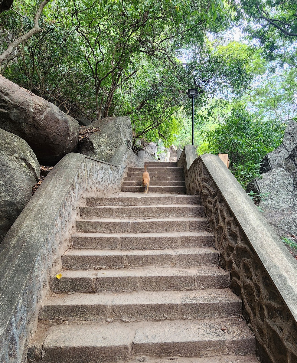 путь на самый верх