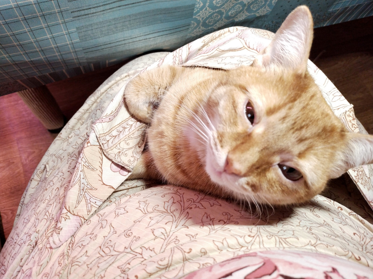 И поцелуйчик от Фынечки. :)