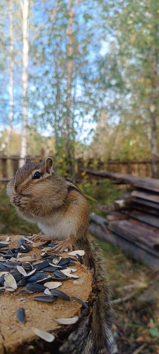    фото Артем Сергушин stalker