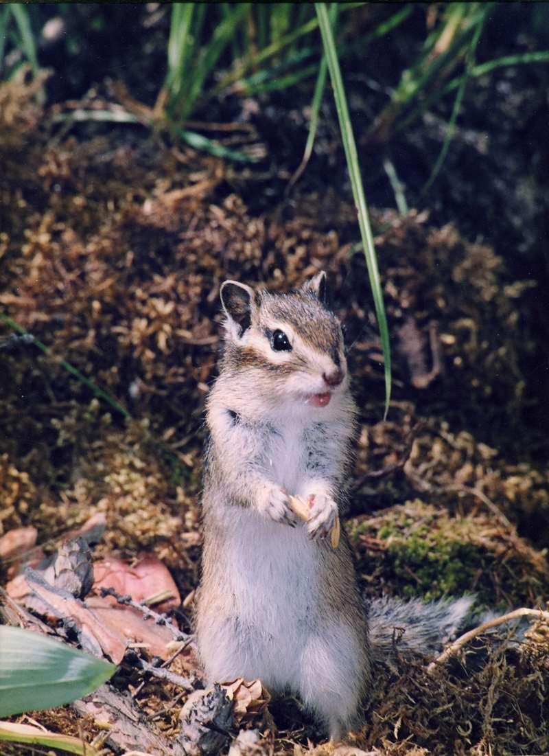    фото Ирины Кузнецовой stalker
