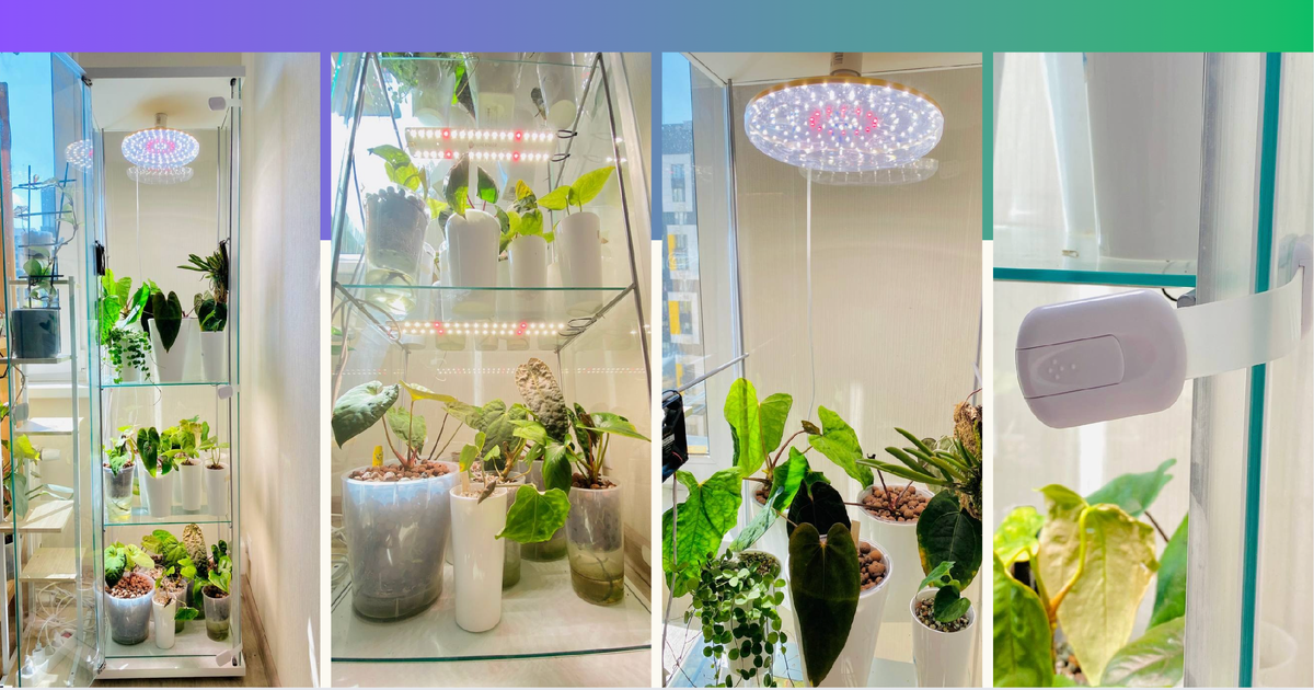 Витрина для экзотический растений