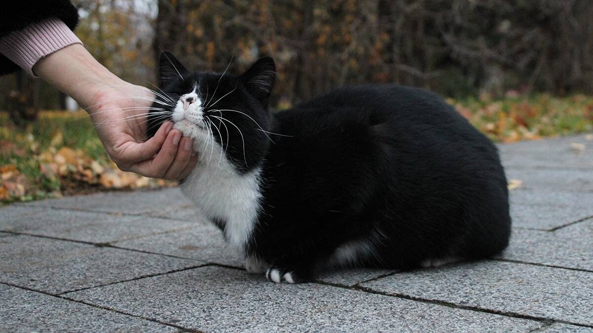    Фото: Мария Хапцова / Вечерняя Москва
