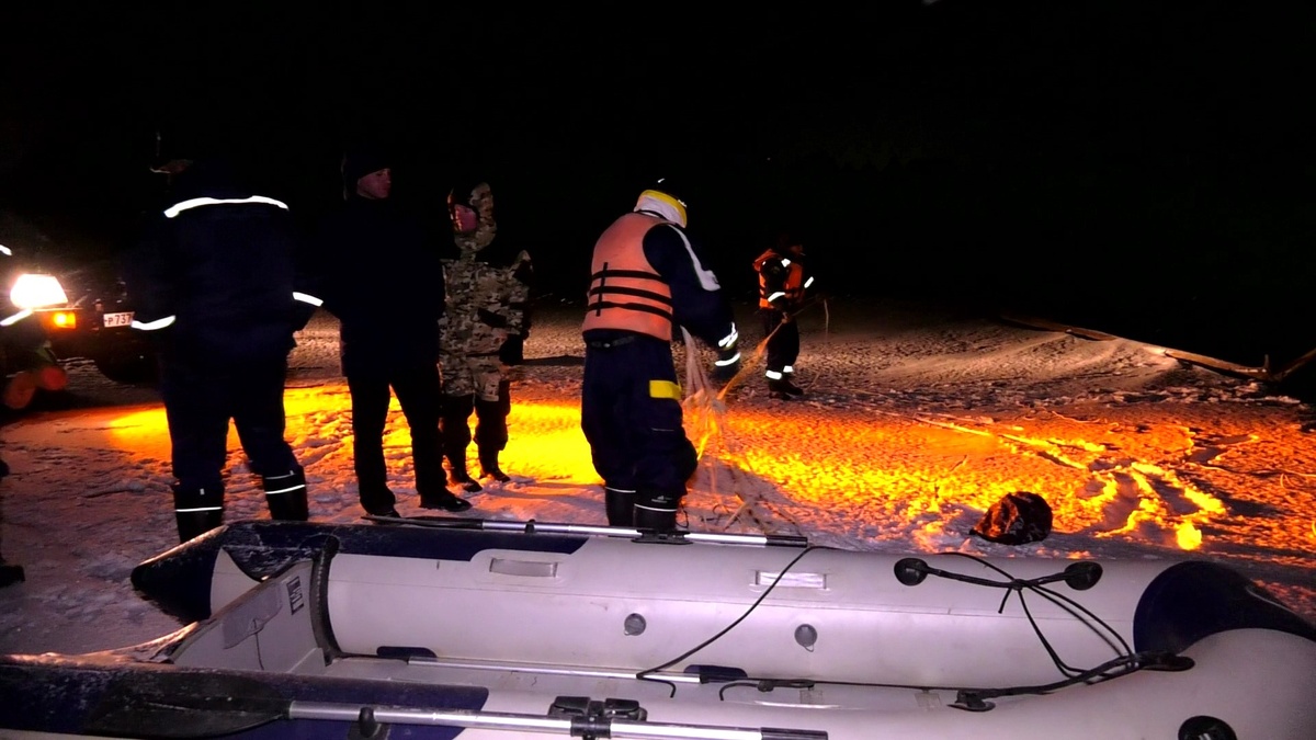    В Урае спасали замерзающего лебедя