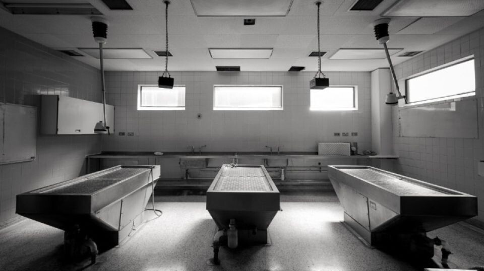    Морг. Источник: pixabay.com