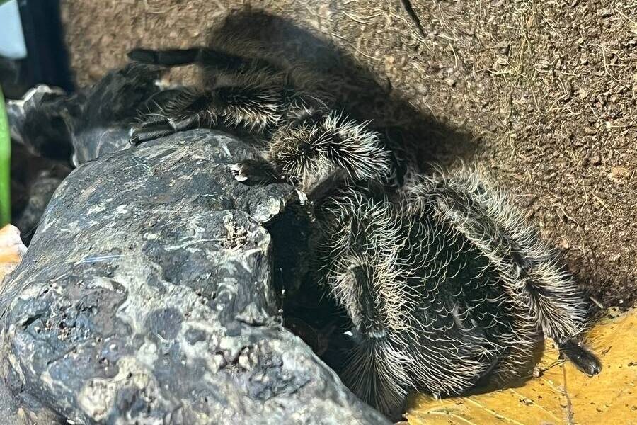 Листайте вправо, чтобы увидеть больше изображений