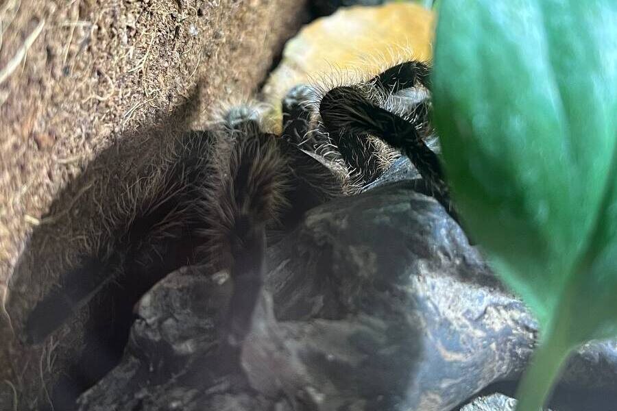 Листайте вправо, чтобы увидеть больше изображений