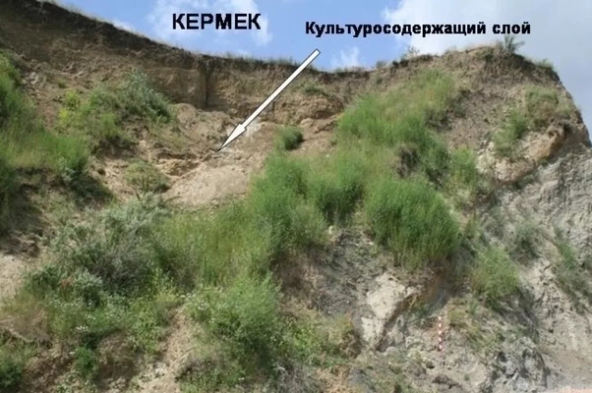    В районе Темрюка на месте стоянки древних людей ведут раскопки