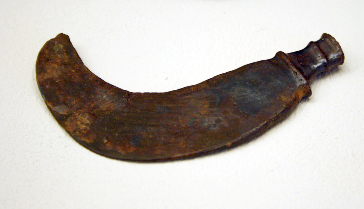 Железный серп из Древней Греции. Giovanni Dall'Orto. Фото: wikimedia.org