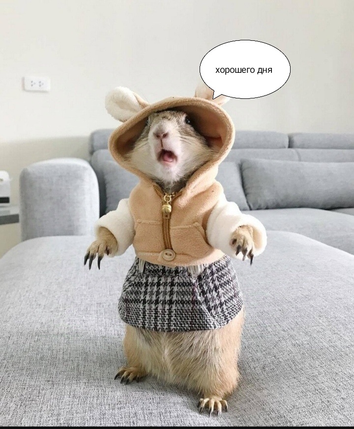 Всем хорошего дня!