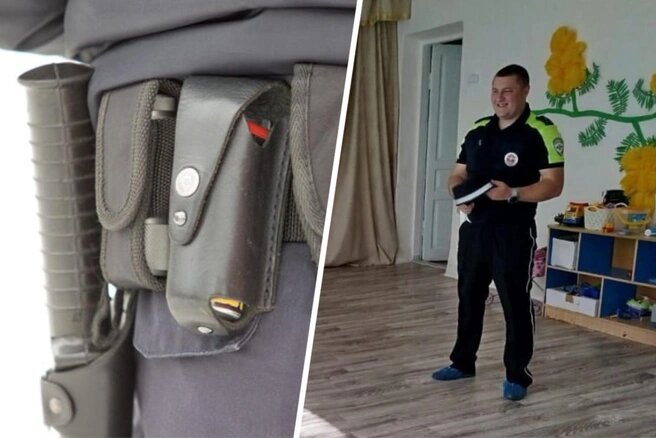    Коллаж: 161.RU, МБДОУ Нижнекамышинка