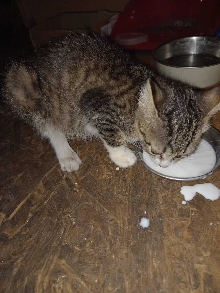 Впервые я ее увидела такой