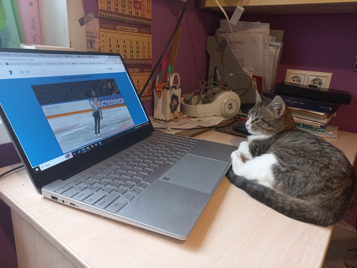 Провела уроки - можно фигурку смотреть