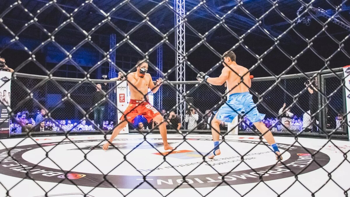     Источник: 1MI