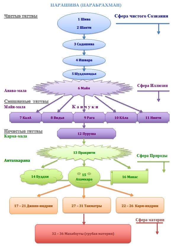 Древо таттв мироздания. Картинка из Дзена.