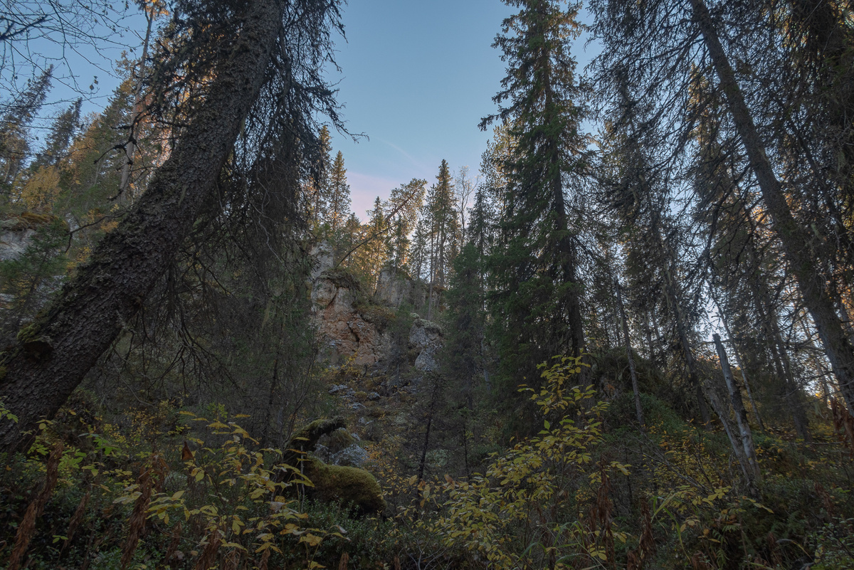 По пути к реке.