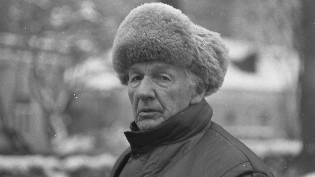 Николай Задорнов. 