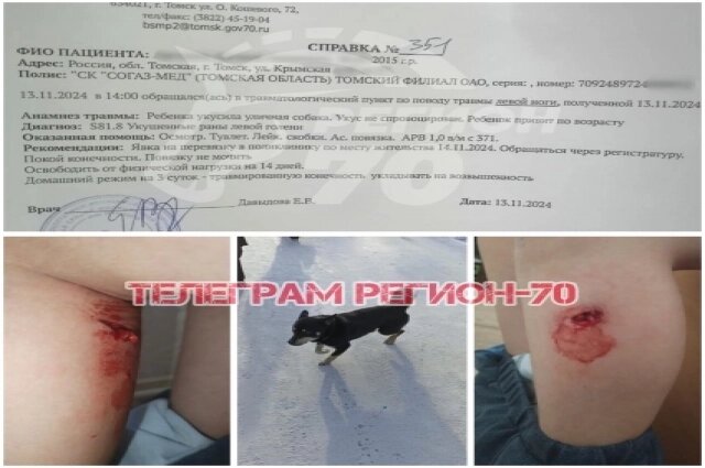    Фото: Регион-70 Томск