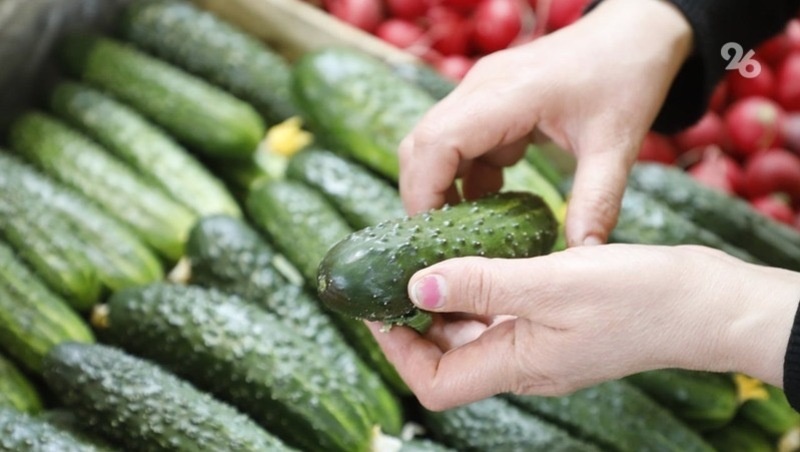      Фото: ИА «Победа26»