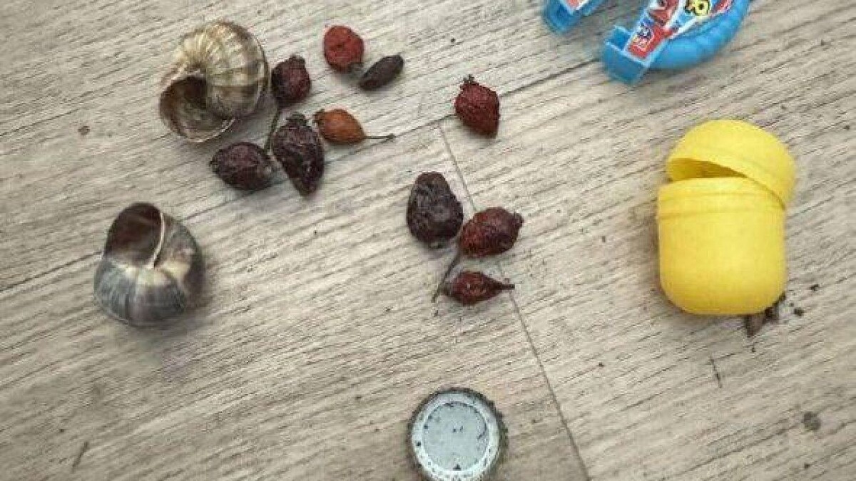    Фото: УМВД по Краснодарскому краю