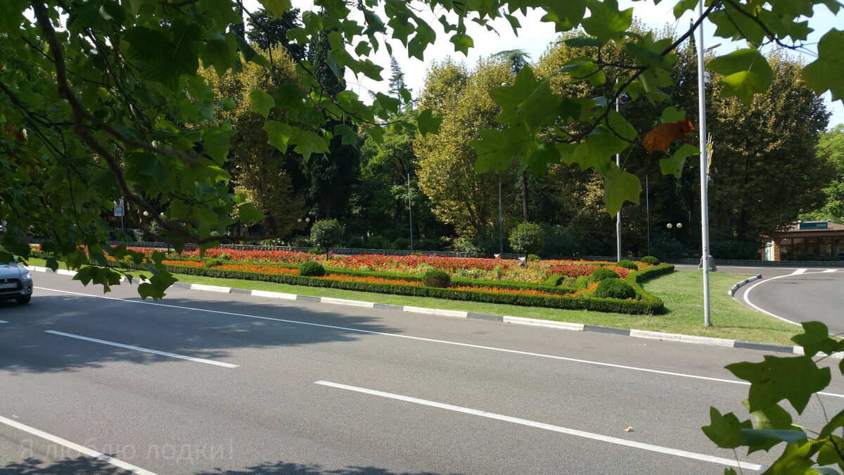 Цветник посреди дороги