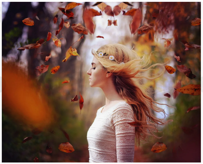 Яндекс.Картинки