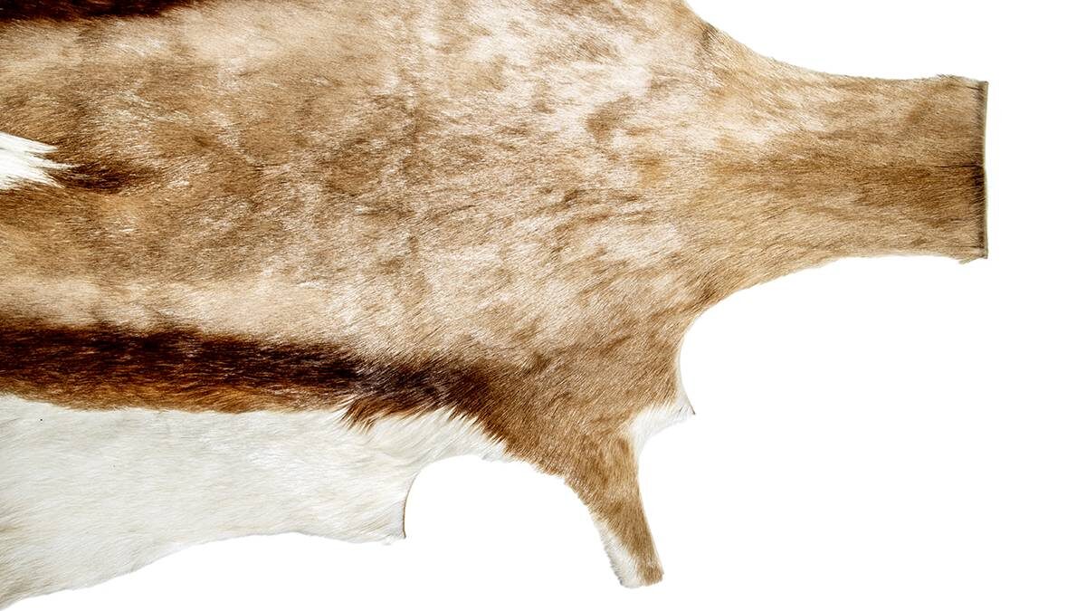    Фото: Shutterstock