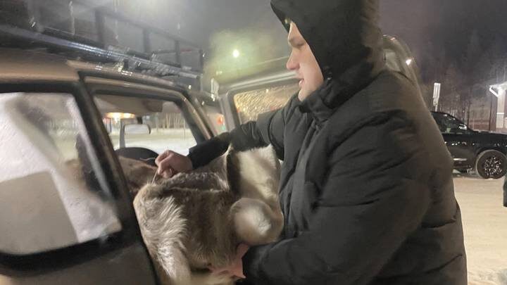  Фото: пресс-служба администрации города Муравленко