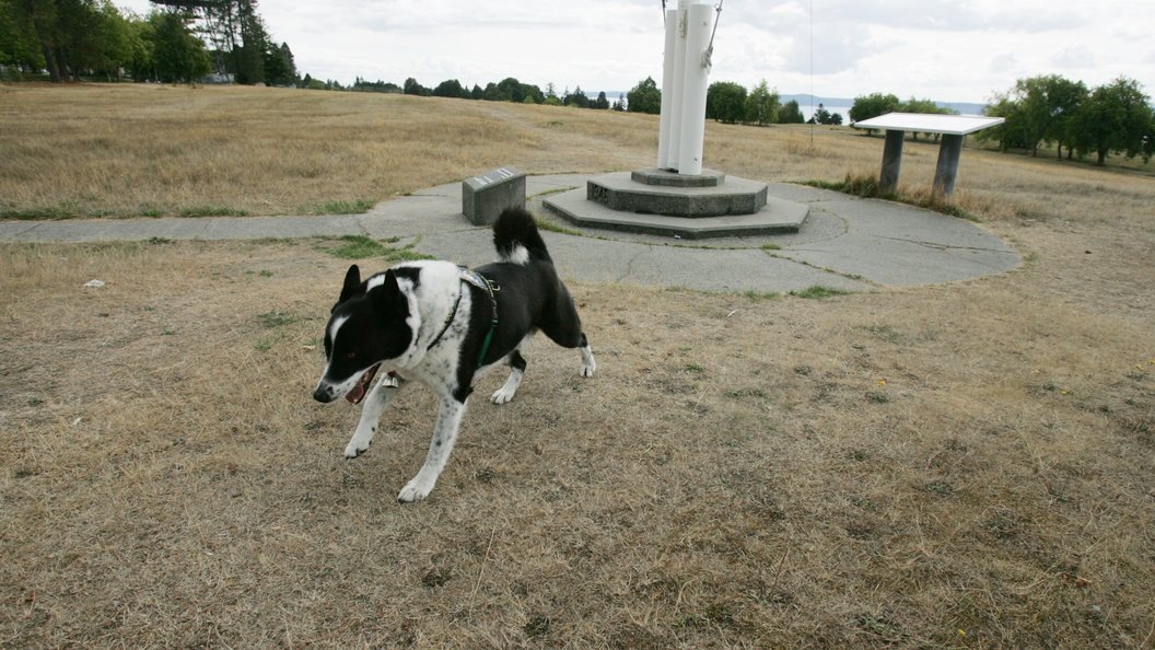    Фото: Ken Lambert/ZUMAPRESS.com/Globallookpress