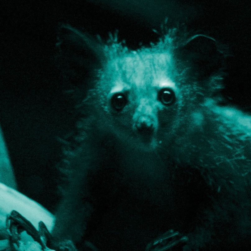 Фото: Josh More / Flickr.com