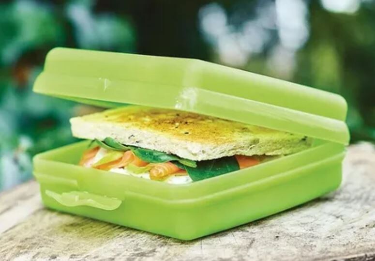 К примеру: у вас есть бутерброд в контейнере. Если вы закроете крышку, то контейнер будет Closed, а сам бутерброд будет Enclosed внутри контейнера.