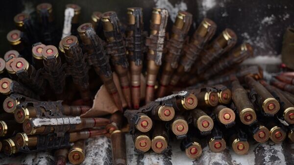    © Sputnik / Михаил Воскресенский