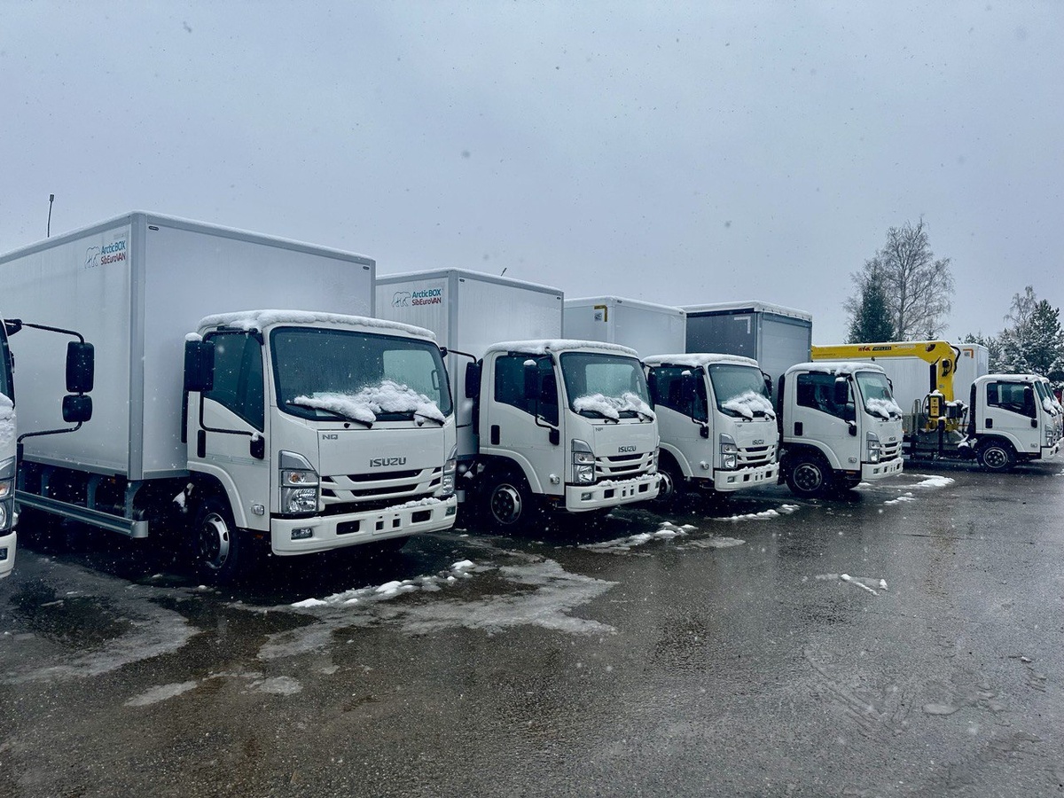 Стоянка Трак-Прайс в Долматово